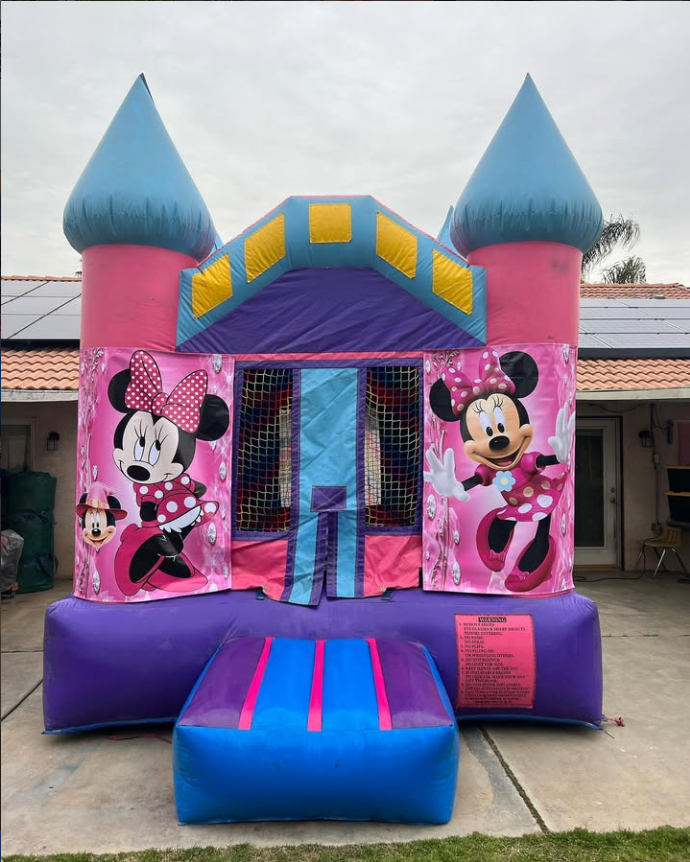 Pink and purple princess castle bounce house